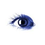 pic for blue eye